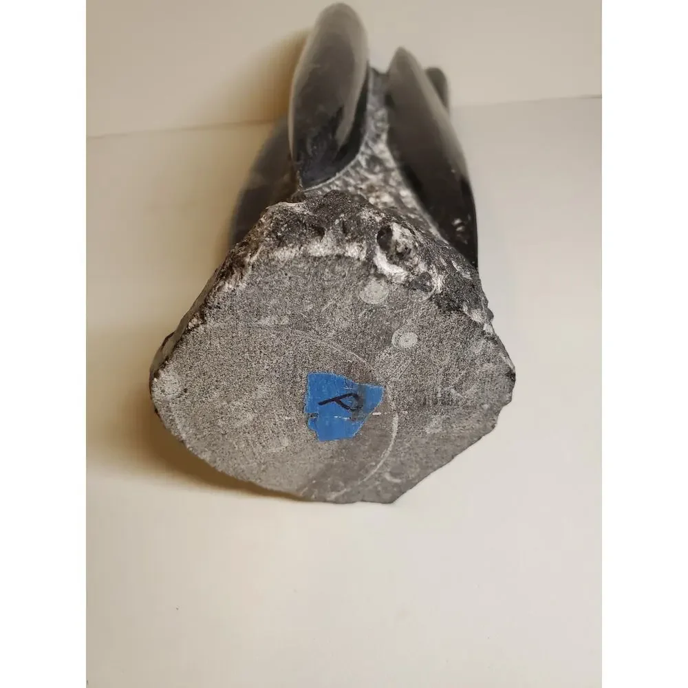 Black Fossils Orthoceras Sculpture Tower - 8